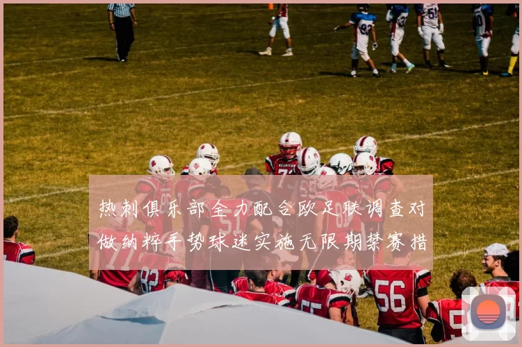 热刺俱乐部全力配合欧足联调查对做纳粹手势球迷实施无限期禁赛措施
